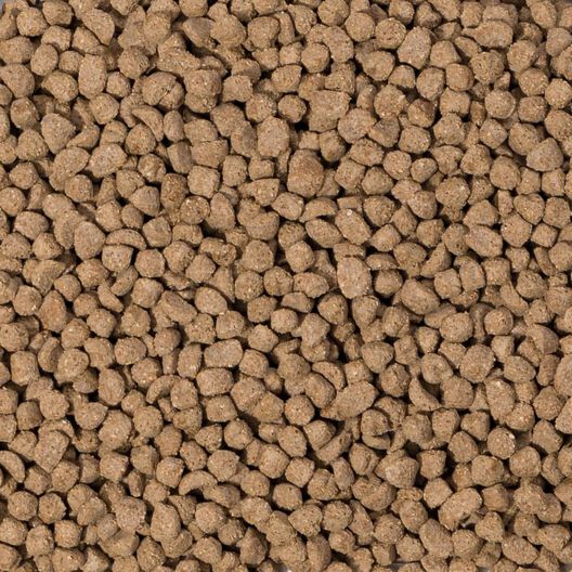 Beaphar Care+ Pienso para jerbos y ratones, , large image number null